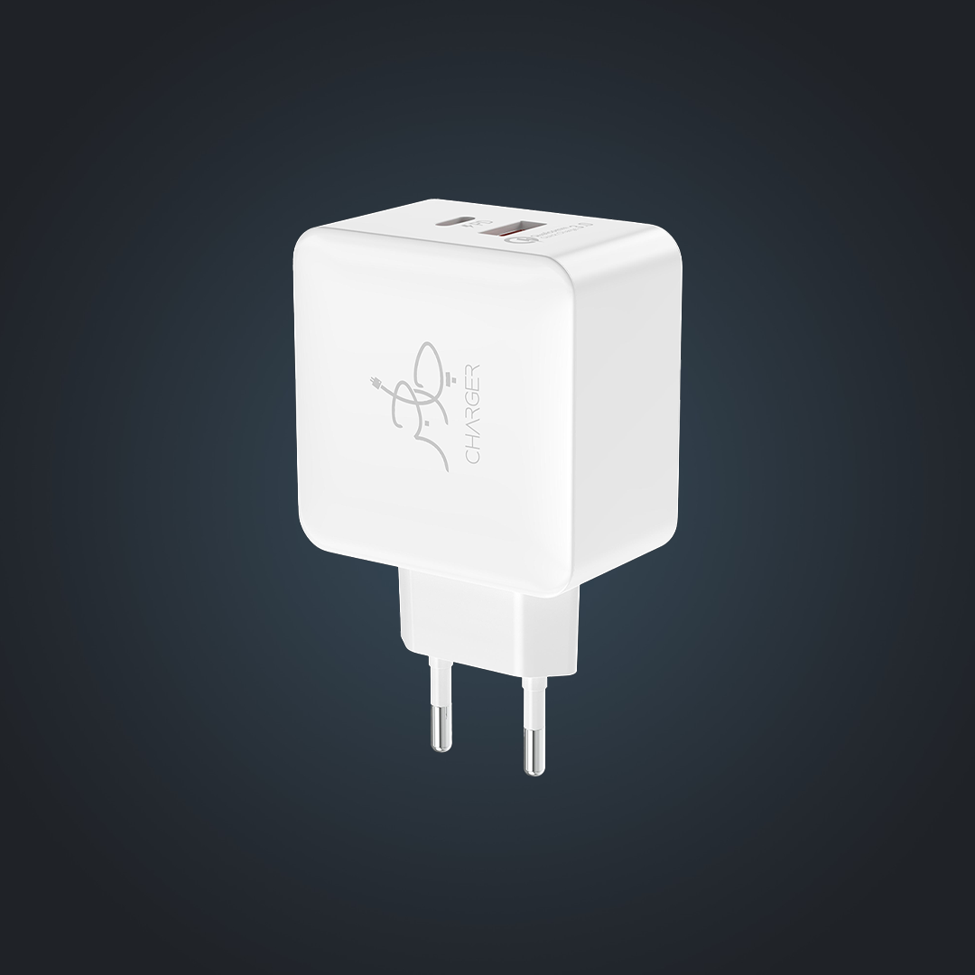 Blaze 25W PD Charger (with C to C cable)